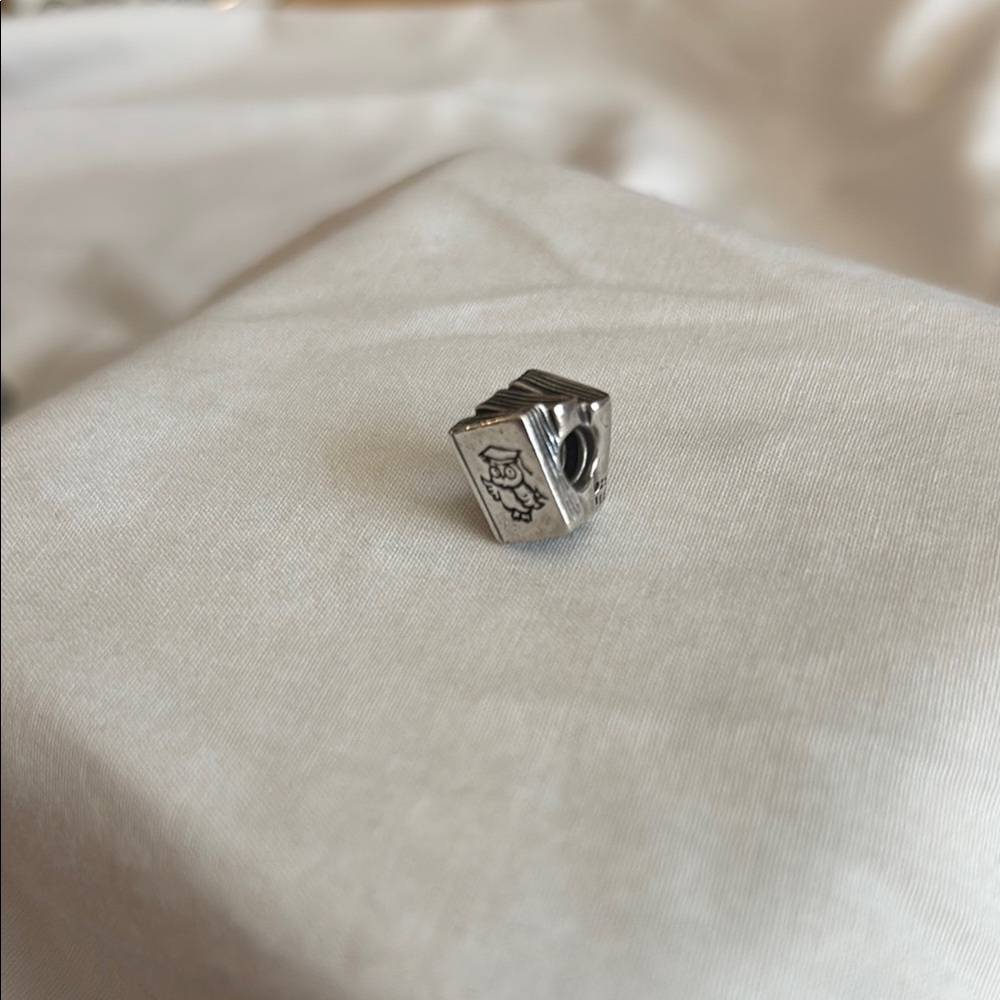 Pandora Study Books Bead